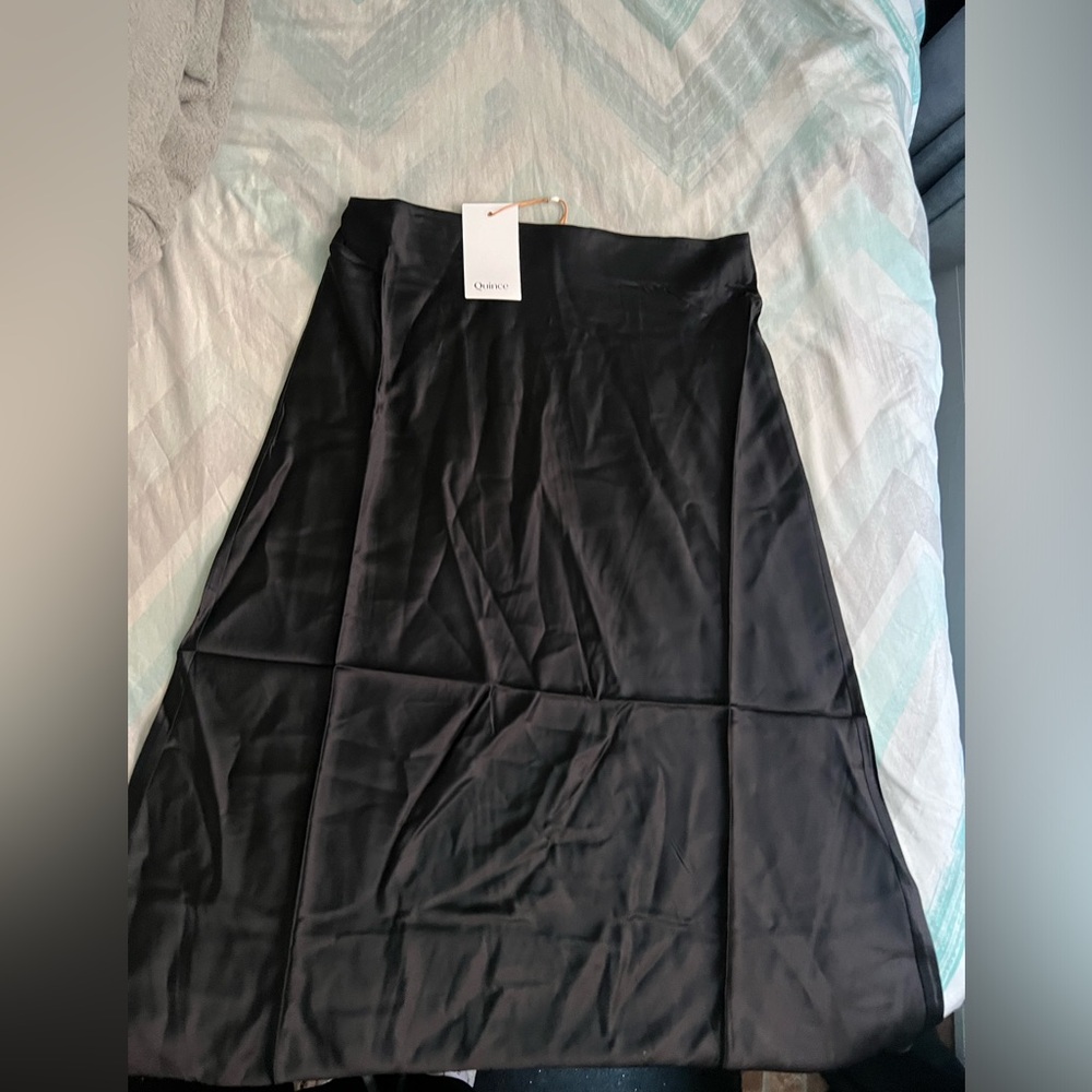 QUINCE 100% Washable Silk Skirt